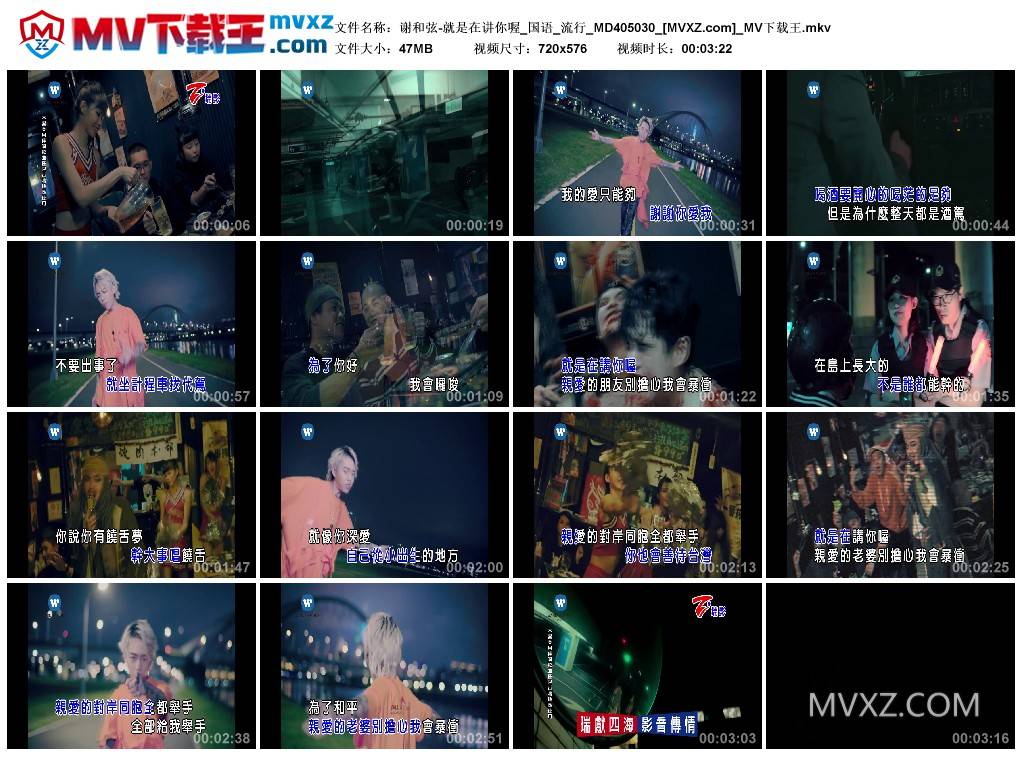 谢和弦-就是在讲你喔_国语_流行_MD405030